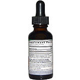 Біла верба (White Willow) 2000 мг, фото 2