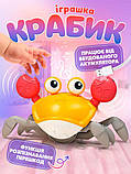 Інтерактивна іграшка Танцюючий Краб, Музичний краб, Краб іграшка ходить, фото 4