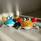 Інтерактивна іграшка Танцюючий Краб, Музичний краб, Краб іграшка ходить, фото 9