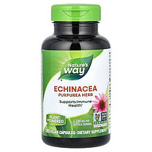 Екстракт кореня ехінацеї Nature's Way "Echinacea Root Complex" 400 мг (180 капсул)