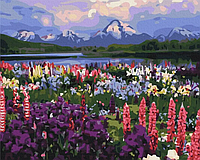 Картина за номерами, (BS21019), Долина польових квітів, 40 х 50 см, Brushme