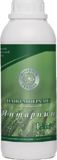 «Нано-Мінераліс» (Янтарний), фото 1
