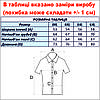 Сорочка чоловіча, приталена (Slim Fit) з коротким рукавом, Bagarda JP8424-B BLUE 93% бавовна 7% еластан 3XL(Р), фото 4