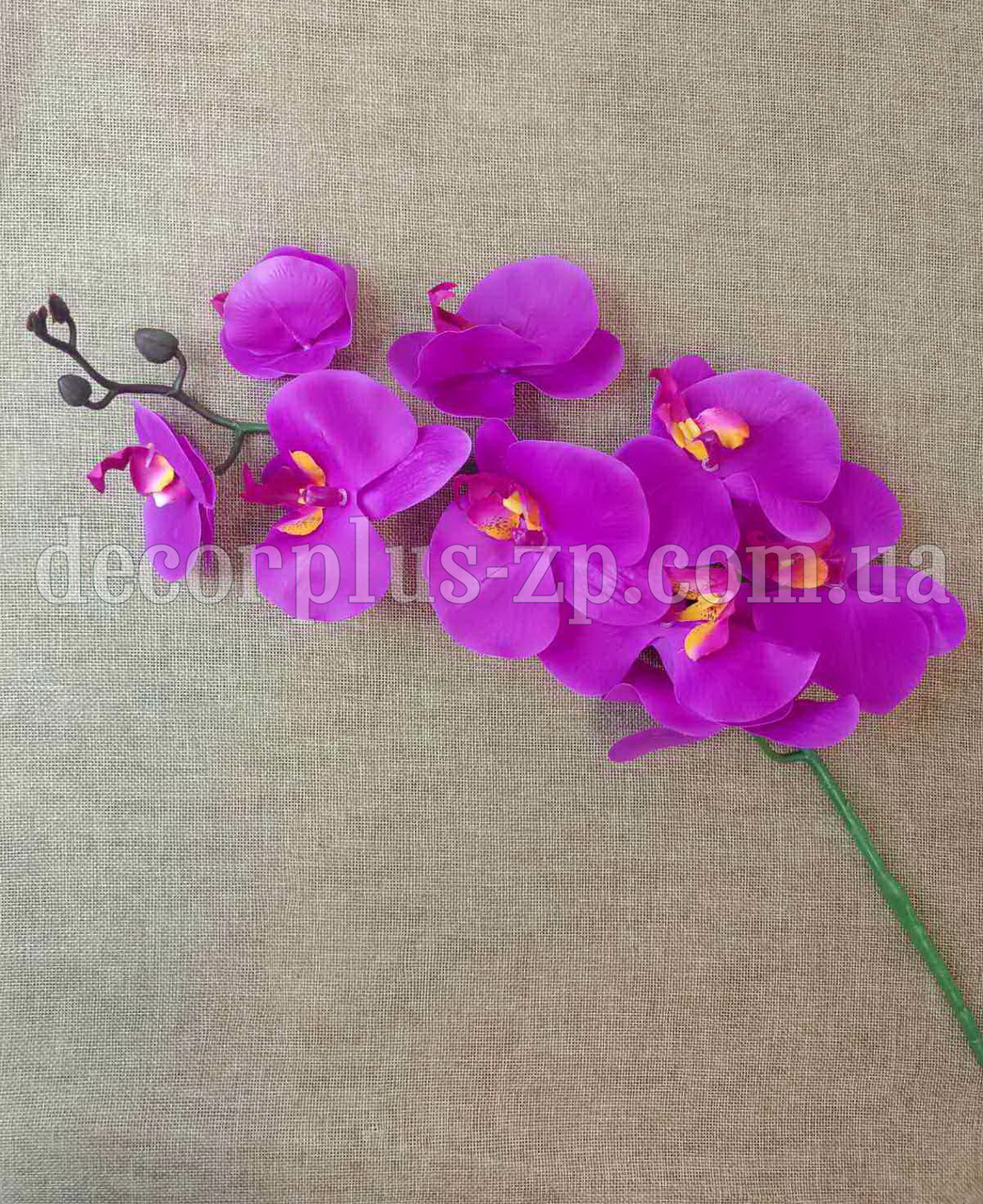 Гілка орхідеї латекс, 105см, фото 1