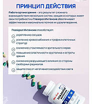 Глазорол Інтенсив Арт Лайф 60 капс, фото 4