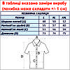 Сорочка чоловіча, приталена (Slim Fit) з коротким рукавом, Bagarda JP6503 MINT 80% льон 20% бавовна L(Р), фото 4