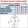 Сорочка чоловіча, приталена (Slim Fit) з коротким рукавом, Bagarda JP6514 MINK 93% бавовна 7% еластан XL(Р), фото 4