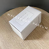 Парфуми Унісекс Zarkoperfume Molecule C-19 The Beach 2023 (Tester) 100 ml Заркопарфюм (Тестер), фото 5