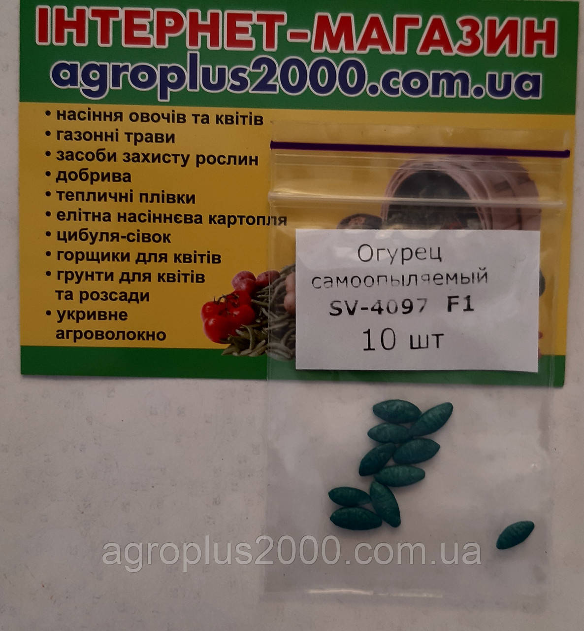 Насіння Огірок самозапильний SV 4097 F1 поштучно 10 насінин Seminis