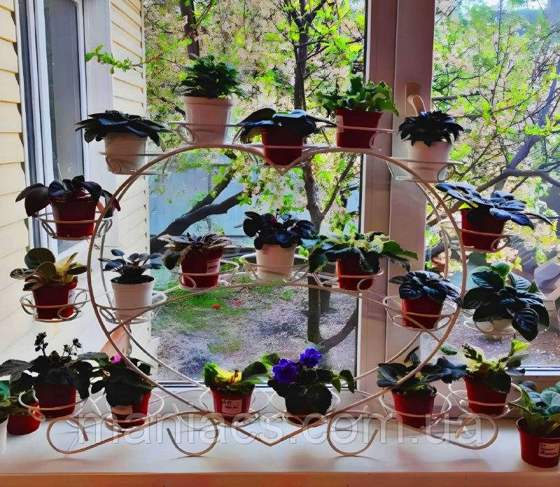 "Фіалка-2" підставка для квітів на 20 чаш