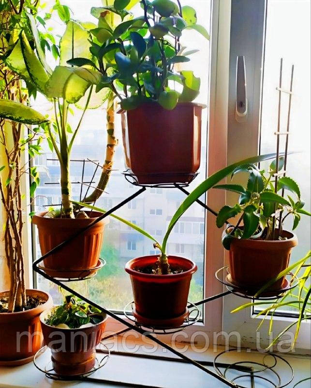 Інь Янь, підставка для квітів на 6 чаш