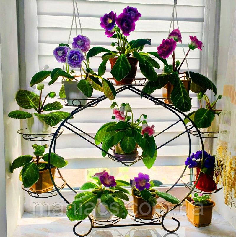 Бутон, підставка для квітів на 10 чаш, фото 1