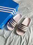 Жіночі шльопанці Adidas Slides White Grey ALL12451, фото 7