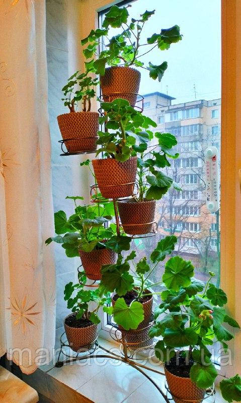 Підставка для квітів "Дерево на 9 чаш діаметром 13 см", фото 1