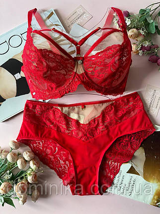 80/85/90/95C Червона жіноча білизна комплект трусики і бюстгальтер на чашку С, фото 1