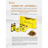 Феникс, фото 6