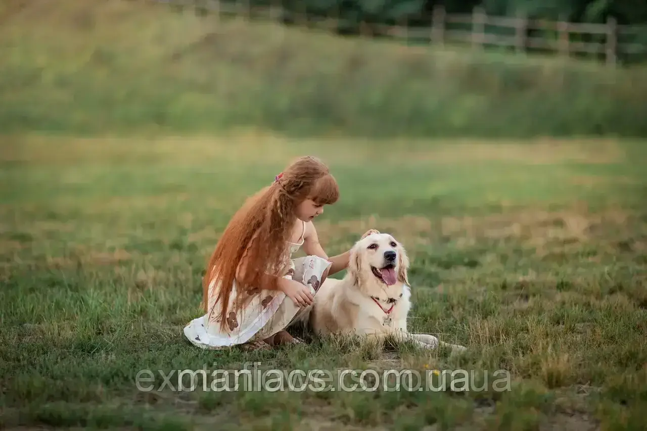 Дитячі та сімейні фотосесії в Дніпрі, фото 1