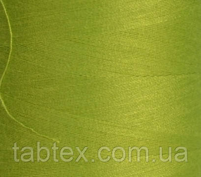 Швейні нитки №40/2 "LG" D206 4000 ярд(салат пор.)