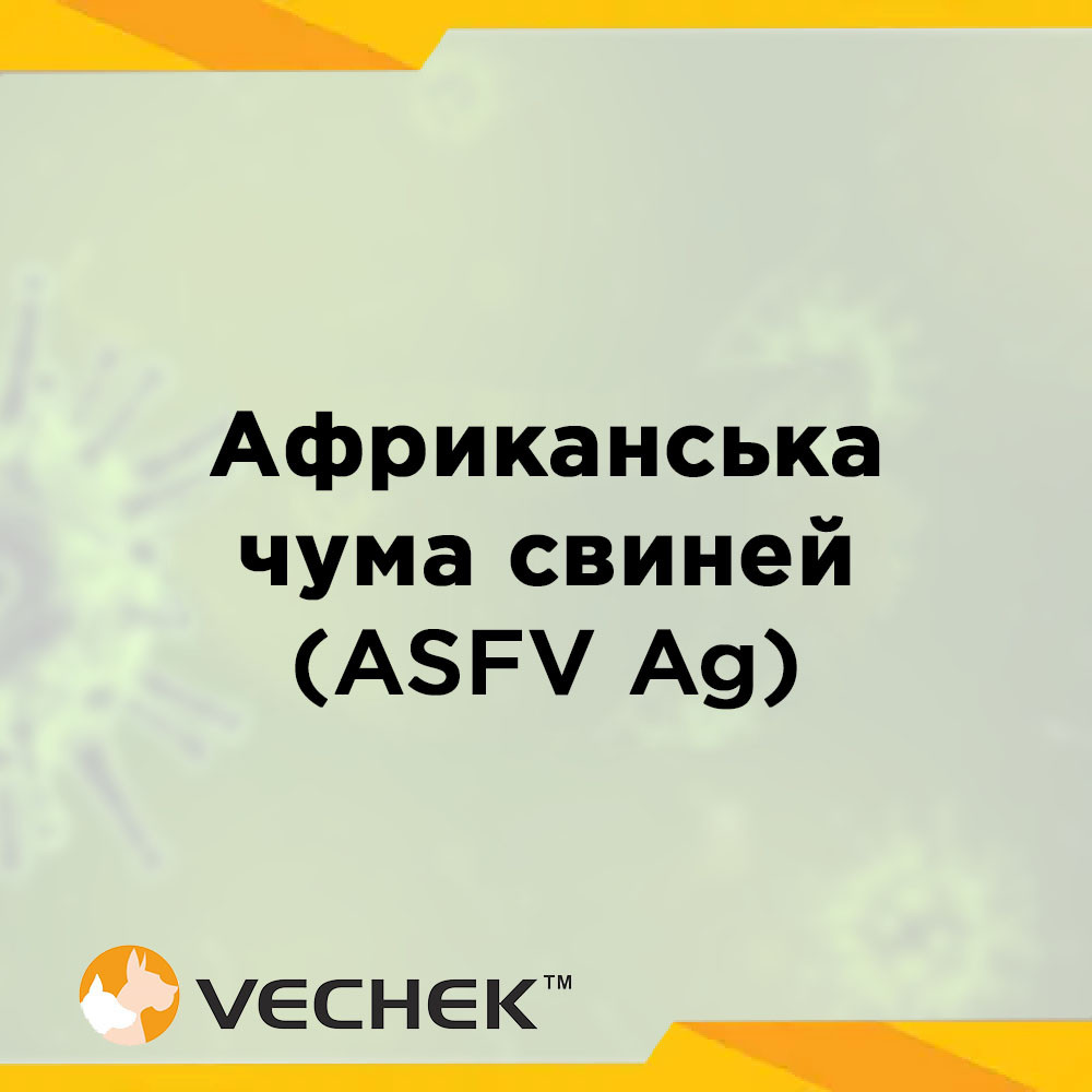 Експрес-тести для виявлення антигену вірусу африканської чуми свиней, ASFV Ag, VIASFG-402