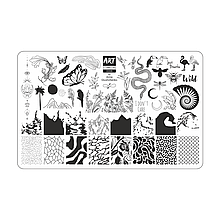 Пластина для стемпінгу "ART STAMPING" №0008 BY ANNA GLUSHCHENKO З ДЕМО-ПЛАСТИНОЮ