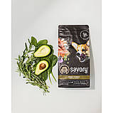 Корм сухий Savory All Breed Sterilised rich in Fresh Turkey для собак усіх порід (свіжа індичка) 1 кг, фото 4