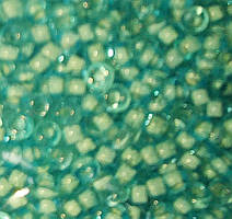 Бісер Matsono 1998-12