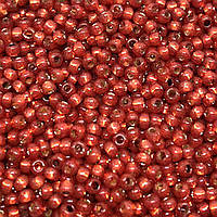 Бісер Matsono 1998-28