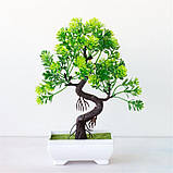 Садова композиція, інтер'єрна рослина бонсай + 1 світний чоловічок у подарунок!, фото 2