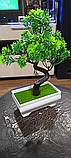 Садова композиція, інтер'єрна рослина бонсай + 1 світний чоловічок у подарунок!, фото 7