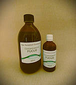 Водоростеві масажні масла