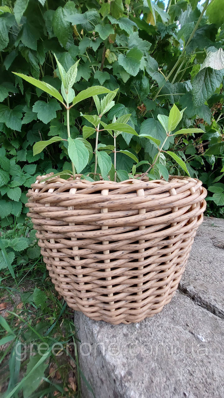 Кашпо з ротанга для квітів, плетений кошик  для саду колір дерево ручної роботи 5 л, фото 1