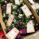 Саджанці Азалії рожевої (Azalea) Ø 13 см, фото 5