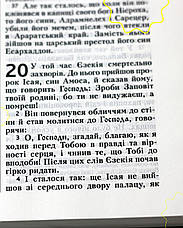 Укр. Біблія Сучасний переклад Турконяк неканонічна великого формату (червона, шкірзам, блискавка, золото, без вказівників, 17х24), фото 5
