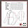 Куртка MFH US Soft Shell Jacket GEN III Level 5 чорна, фото 6