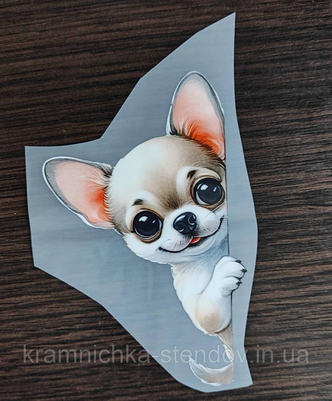 Термонаклейка на одяг, фото 1