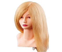 Навчальні голови, штативи