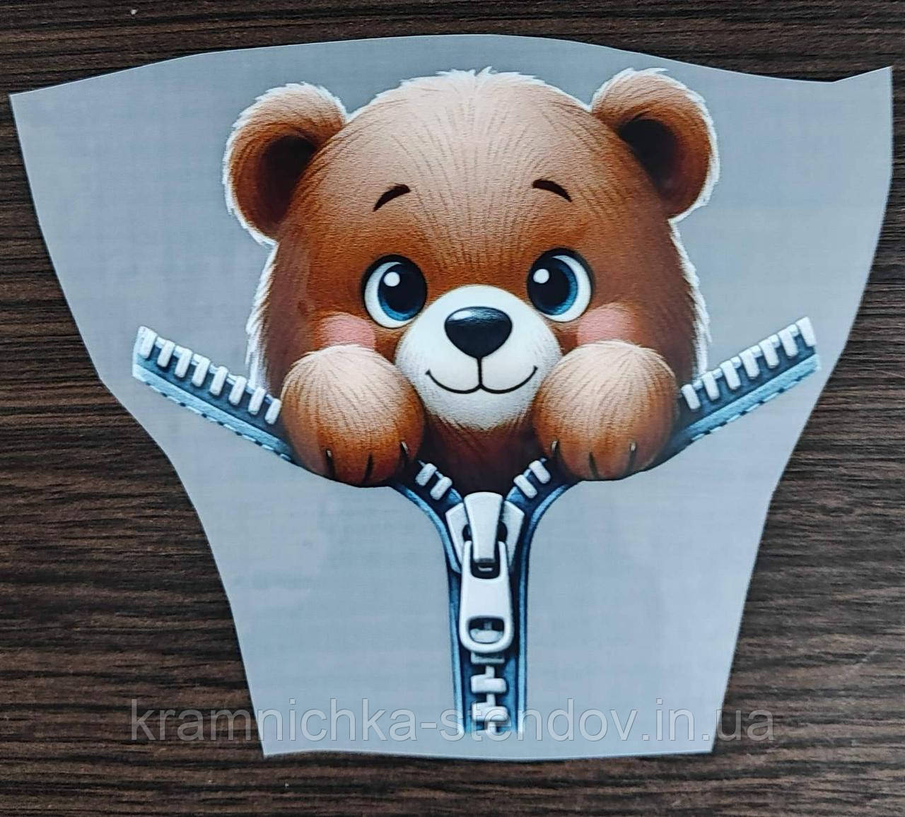 Термонаклейка на одяг, фото 1