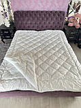 Ковдра 2 в 1 чотири сезони на кнопках двоспальна розміром 175*210 см різні кольори, фото 3