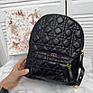 Модний жіночий рюкзак Christian Dior, фото 5