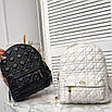 Модний жіночий рюкзак Christian Dior, фото 10