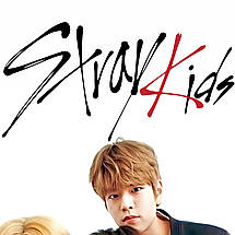 Плакат "Stray Kids, SKZ", 60×40см, фото 3