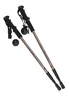 Палиці для трекінгу Antishock пара Silver (004) (70508A-4-E)