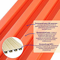 Декоративна стінова рейка корал 3000*160*23мм (D) SW-00001527, фото 2