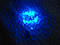 Гірлянда нитка світлодіодна на 200 ламп синього кольору 11 м новорічна гірлянда на ялинку, фото 6