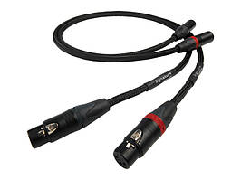 Chord SignatureX Tuned ARAY 2XLR to 2XLR 1m