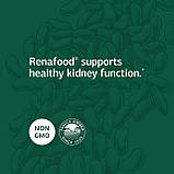 Renafood Здоров'я нирок, Standard Process, 180 таблеток, фото 5