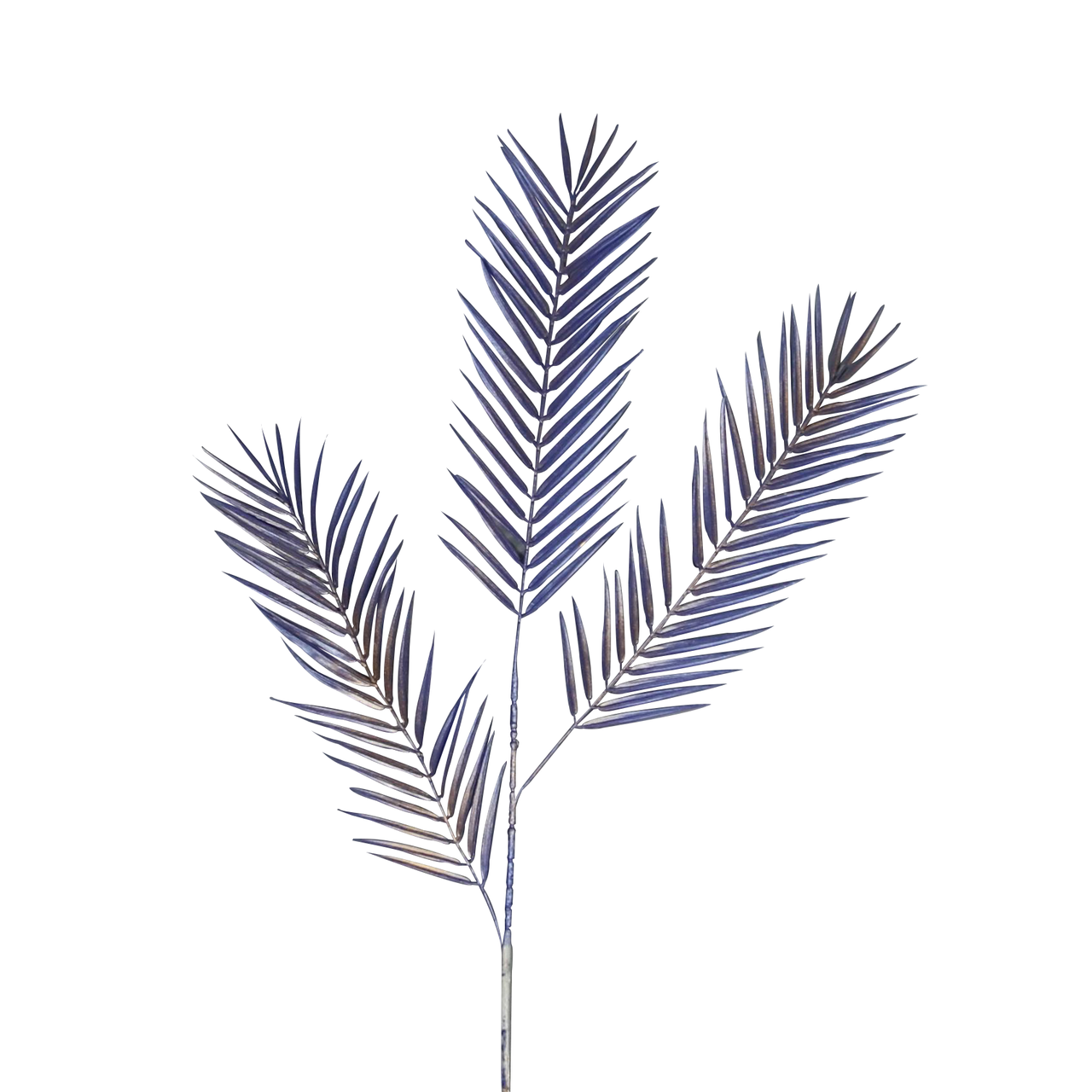 df99c4392143cb23b236d7e272246178.png