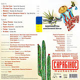 Вінілова платівка СКРЯБІН Скрябінос muchachos (2007 / 2024) Vinyl (LP Record), фото 3