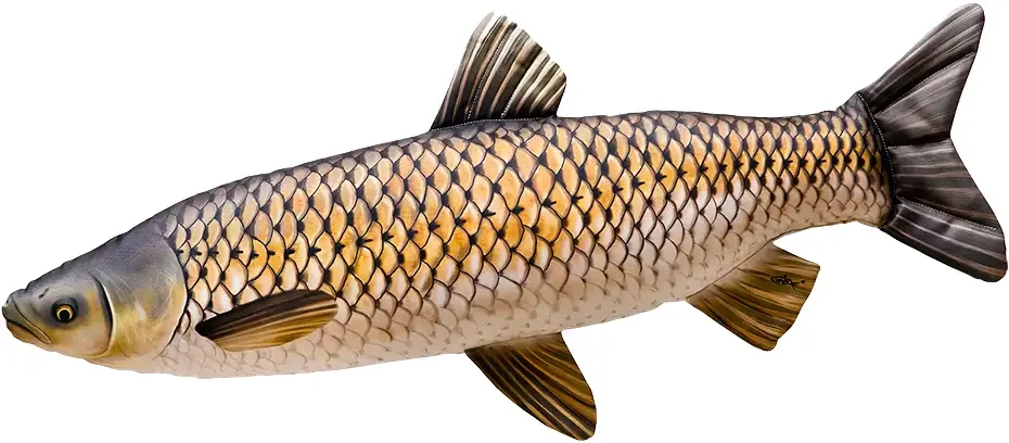Подушка 3KBaits "Амур" NEW 42Х18СМ, фото 1