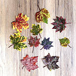Штучне листя осіннє мікс ( за 50 шт ), фото 2